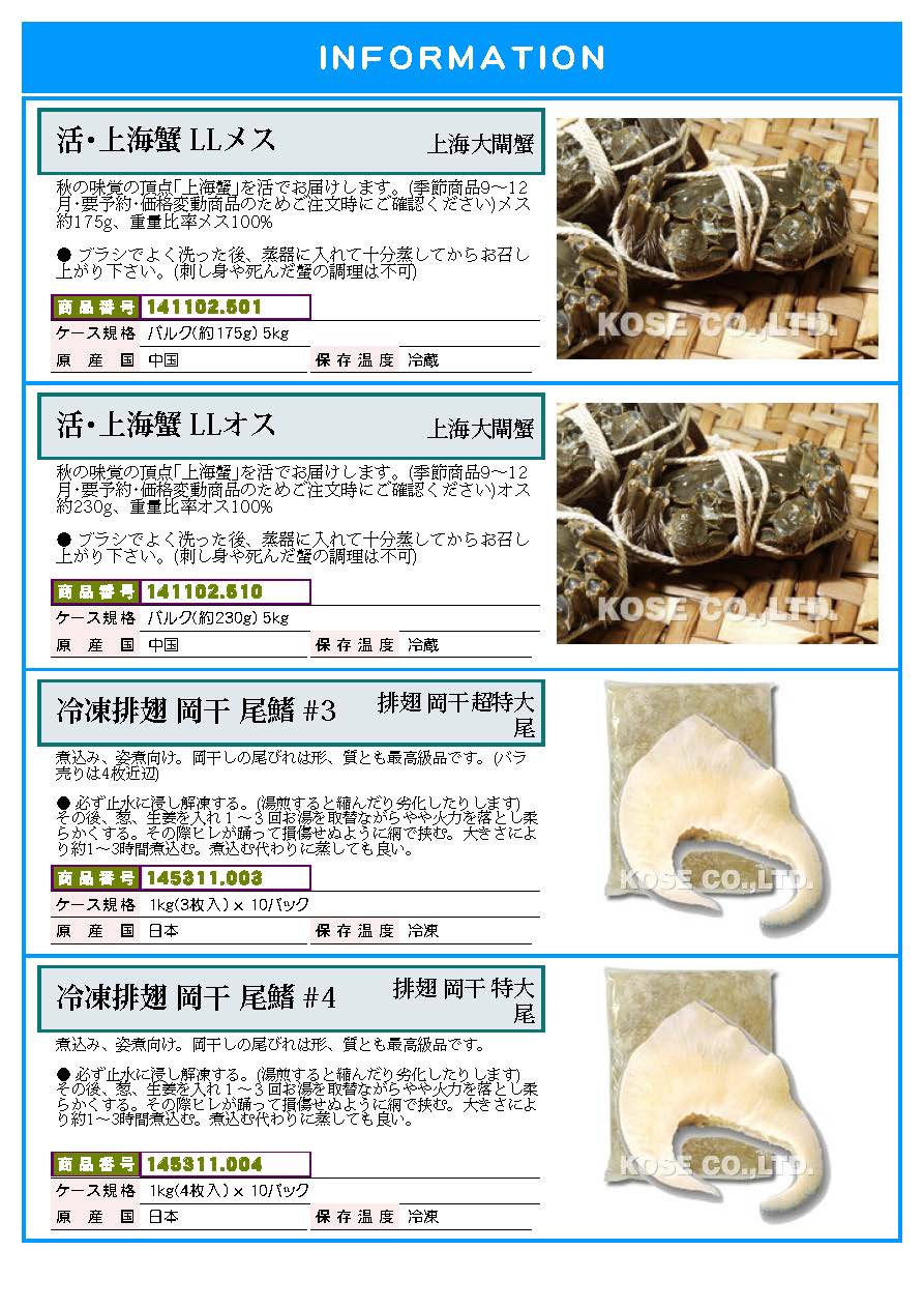 月次案内・新商品